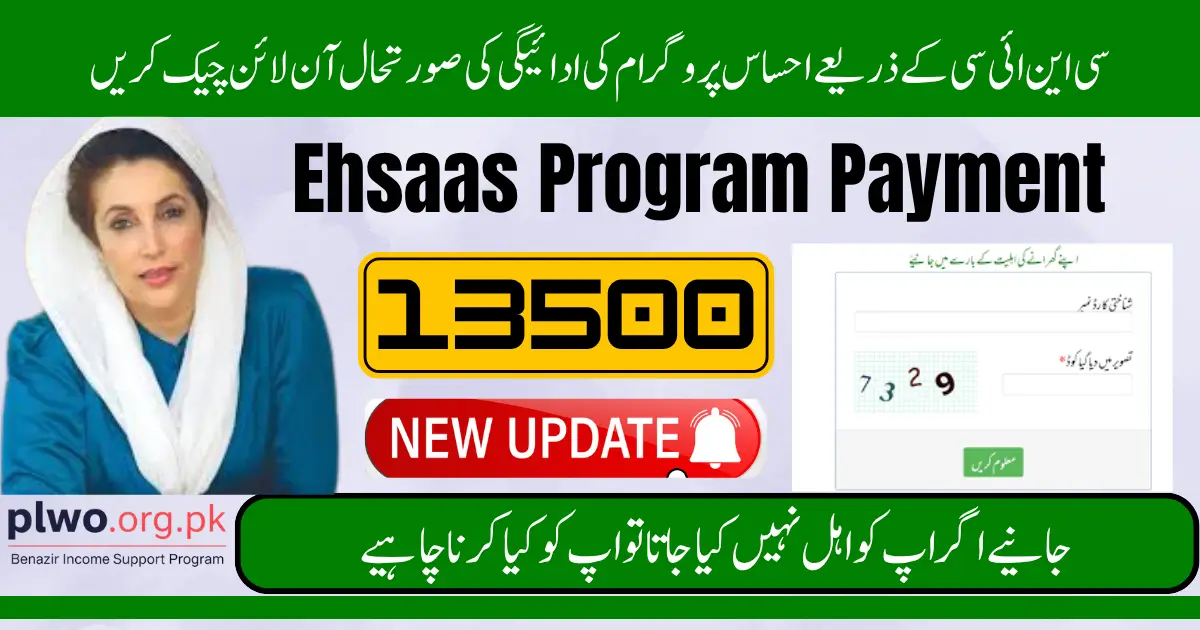Check Ehsaas Program Payment Status Online with CNIC Through 8171