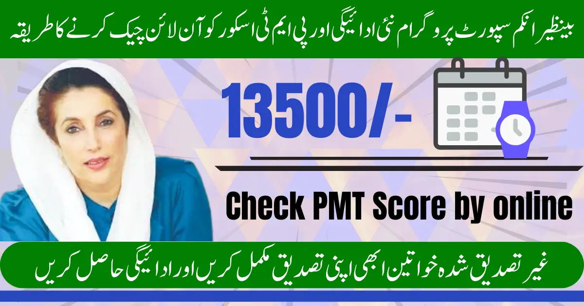 Benazir Income Support Programme New Payment & PMT Score Check Online 2025