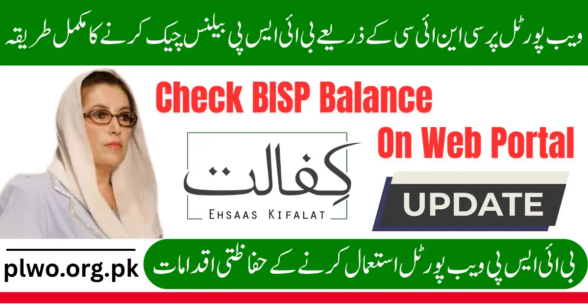 Complete Method to Check BISP Balance by CNIC on 8171 Web Portal