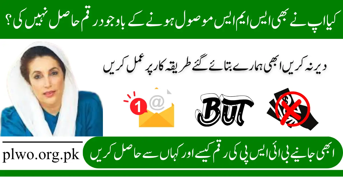 Received BISP SMS But Didn’t Get Payment Here’s the 2025 Solution