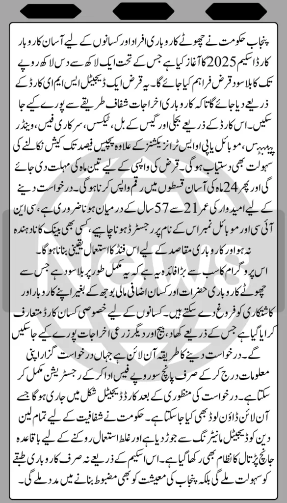 CM Punjab Asaan Karobar Card